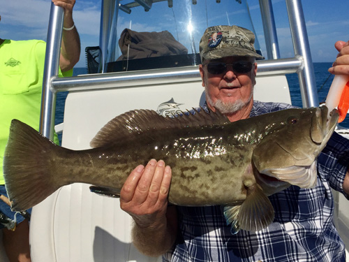 Angling Adventures Gag Grouper